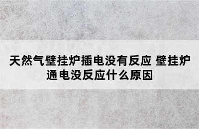 天然气壁挂炉插电没有反应 壁挂炉通电没反应什么原因